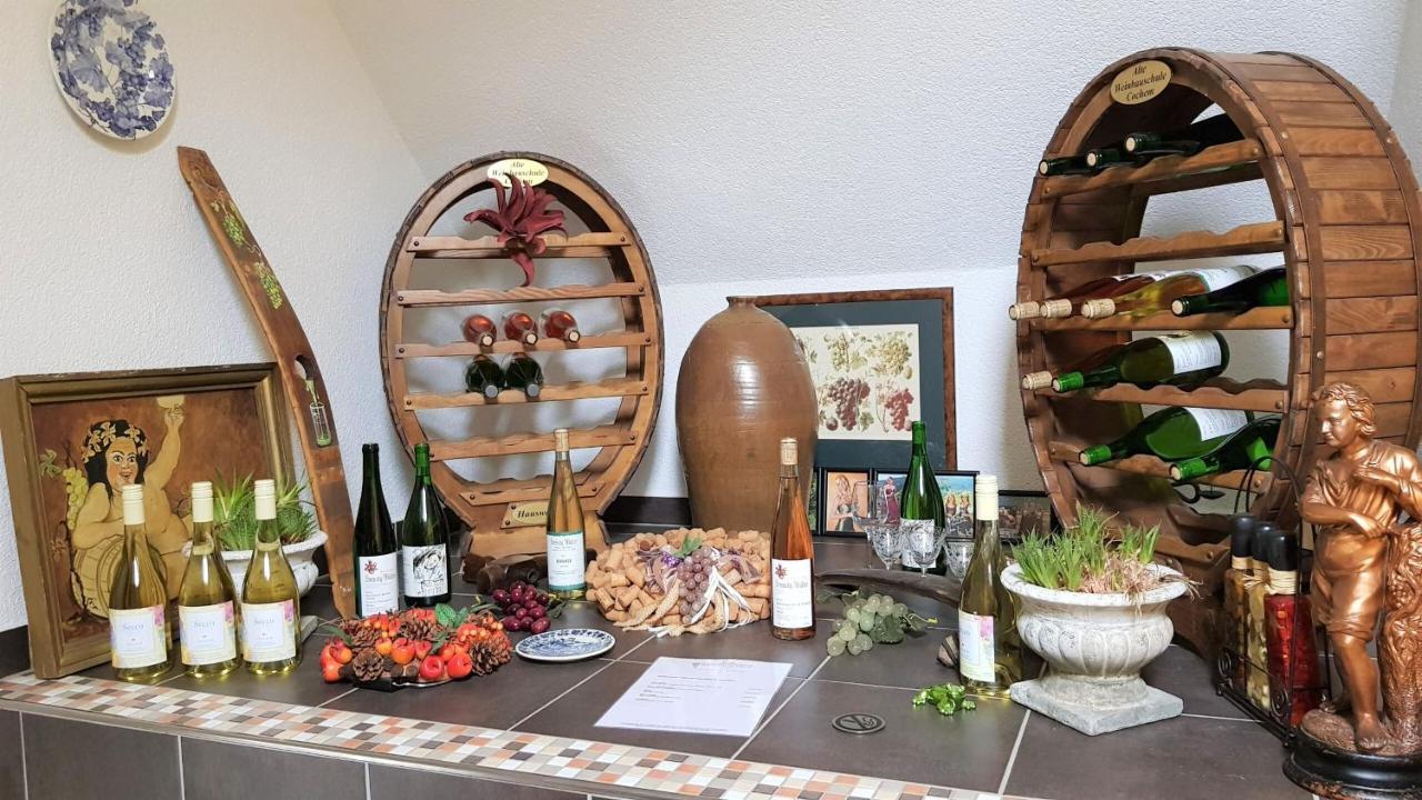 コッヘム Alte Weinbauschuleヴィラ エクステリア 写真